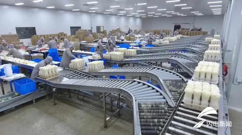 科技扶貧新起點，鄉(xiāng)村振興新篇章——2019年山東農業(yè)科技服務(扶貧)月啟動儀式在鄒城盛大舉行